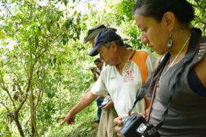 audit taking place in a coffee farm in Mexico