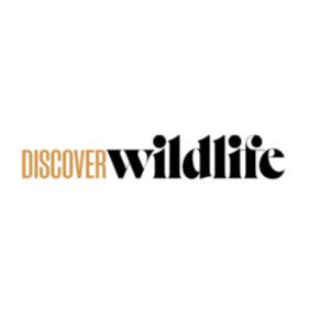 BBC Wildlife
