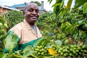 A coffee farmer in his field at the Household Energy Center in Kenya